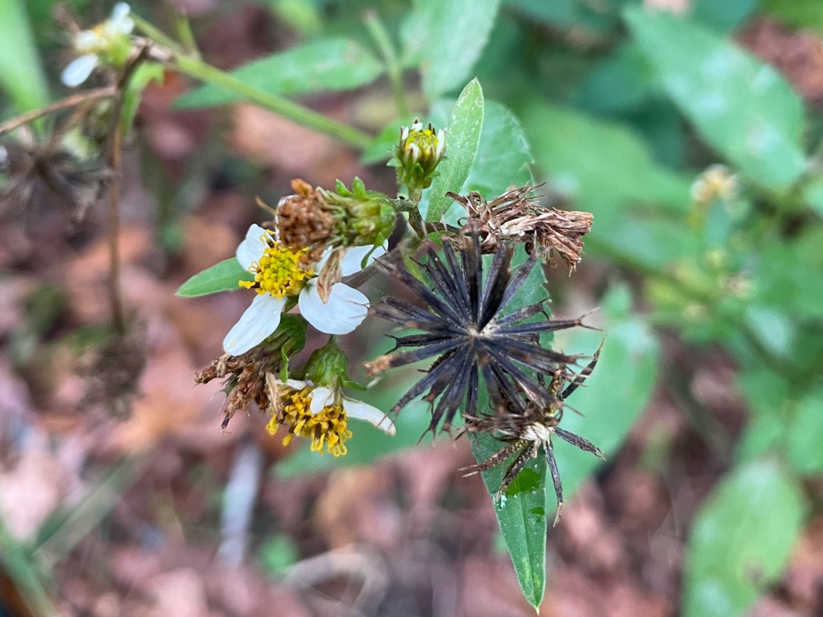 Stickers: It’s what they&nbsp;do